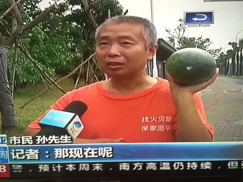 郓城吃瓜网热门事件,揭秘本地热门事件背后的真相与热议