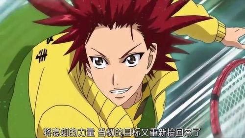 网王之吃瓜群众