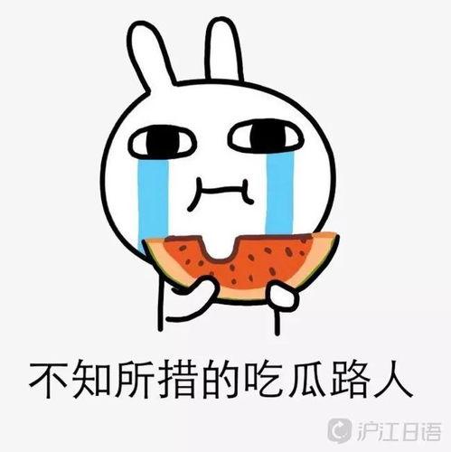 大熊的吃瓜日记百度网盘,揭秘娱乐圈幕后故事