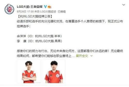 网暴吃瓜顾斐全文后续,顾斐的逆袭与成长之路