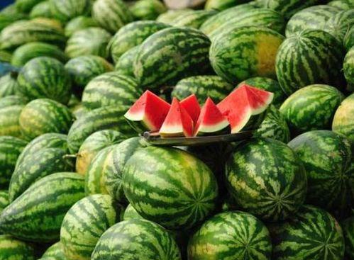 吃茄瓜的网红是谁啊视频,揭秘幕后故事