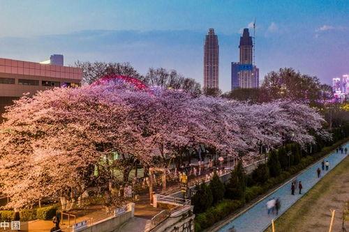 抖音网红警花吃瓜,抖音网红警花的趣味日常瞬间