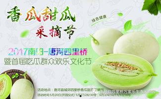 网红吃瓜大集合图片,一场视觉盛宴的狂欢时刻