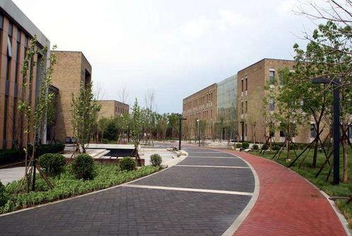 中央财经大学网课吃瓜,揭秘网课中的“吃瓜”现象