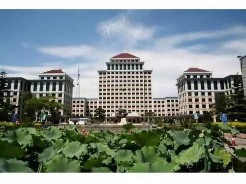 中央财经大学网课吃瓜,揭秘网课中的“吃瓜”现象