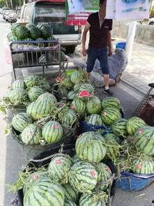 苏州酒吧网红吃瓜事件,揭秘幕后真相与网络舆论风暴