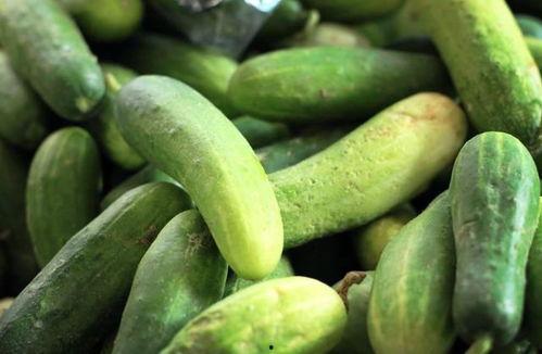 每日网红吃瓜大赛,娱乐圈风云再起，谁将笑到最后？