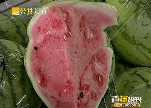 绍兴吃瓜官网,吃瓜官网带你领略江南风味