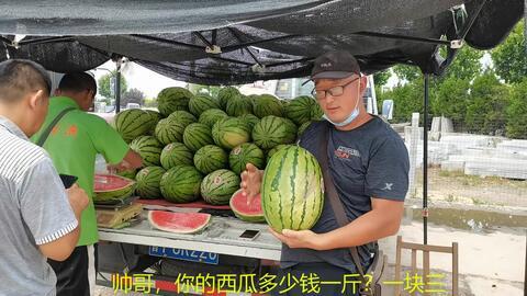 东北网红吃瓜事件真相揭秘,揭秘背后真相与争议