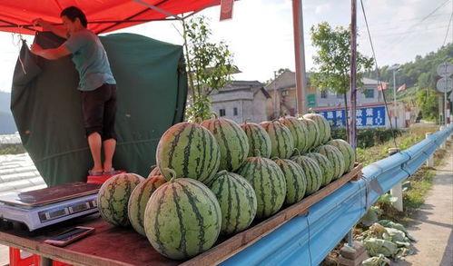 永康网红吃瓜事件,揭秘网络舆论的风暴与真相