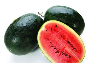 561吃瓜官网,揭秘娱乐圈最新热点，带你畅游八卦海洋