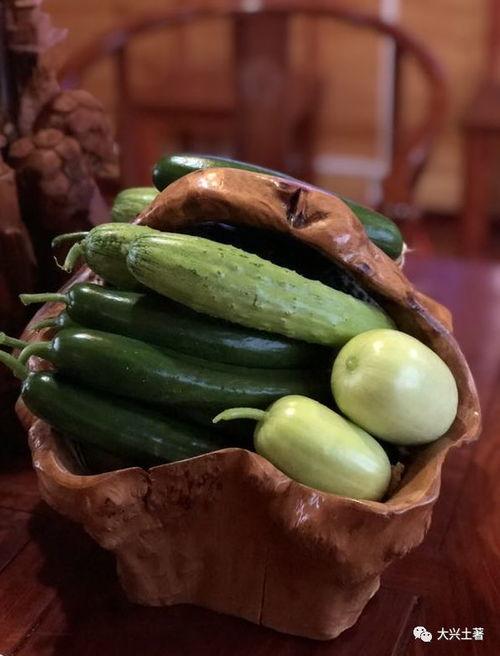 当代网红吃瓜视频,揭秘娱乐圈幕后真相