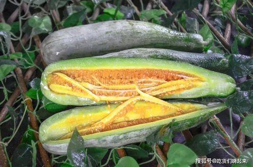 当代网红吃瓜视频,揭秘娱乐圈幕后真相