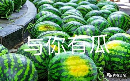 成都网红吃瓜团队名单图片,揭秘幕后势力与热门事件关联