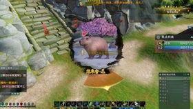 剑网3怎么吃瓜,吃瓜指南，揭秘江湖风云背后的那些事儿