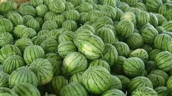 暗吃瓜网,揭秘娱乐圈幕后真相，带你走进明星私生活