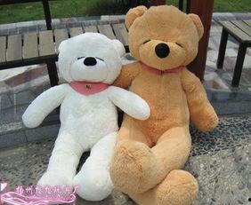 网红熊公仔吃瓜视频,萌态可掬引发网友热议