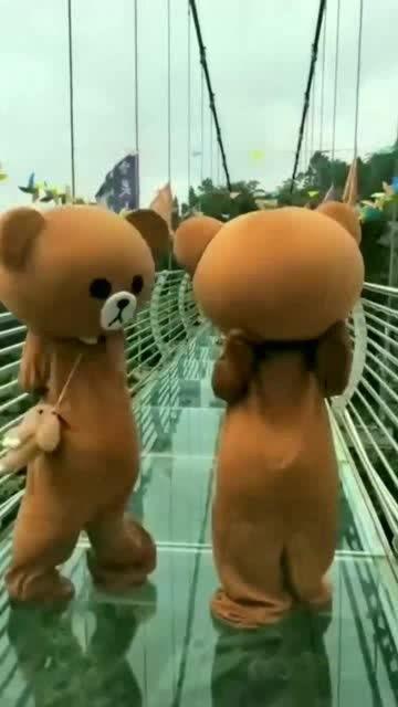 网红小熊吃瓜视频在线观看,萌态百出引网友热议