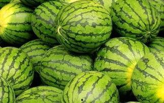 吃瓜网每日大赛入口,入口开启狂欢盛宴！