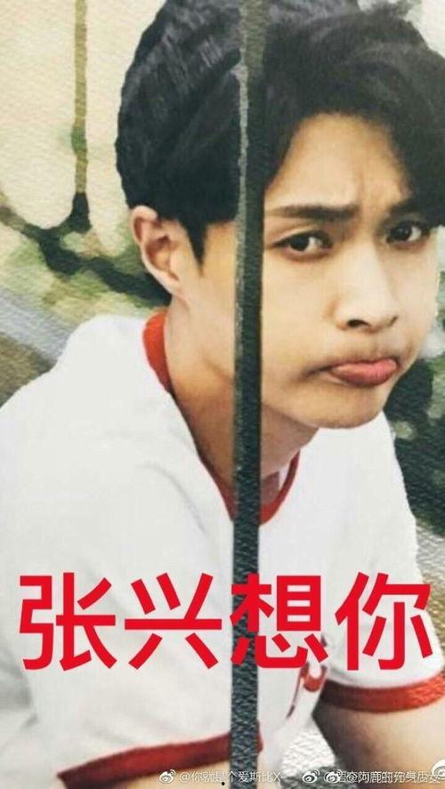 网红明星吃瓜表情包微博,趣味横生引发网友热议