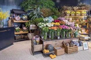 河北花店老板娘吃瓜网,吃瓜网背后的温馨故事