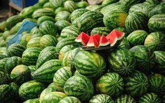 武都吃瓜网红事件真相视频,真相视频曝光背后的真相