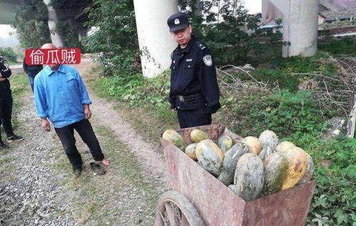 武都吃瓜网红事件真相视频,真相视频曝光背后的真相