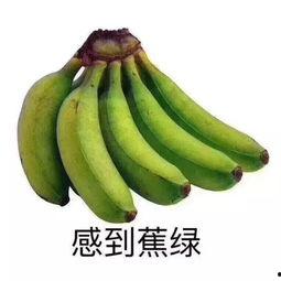 莱阳网红吃瓜群微信,揭秘网络红人的幕后故事