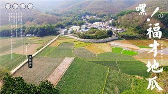 眉山网红吃瓜群众,揭秘网络热点背后的故事