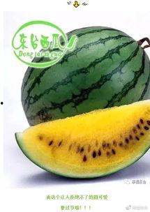 最新最全的吃瓜网,娱乐圈风云变幻，热点事件一网打尽