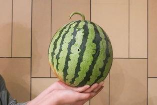 最新最全的吃瓜网,娱乐圈风云变幻，热点事件一网打尽