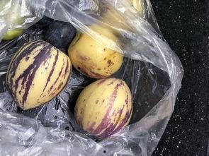 青海吃瓜网最新事件,揭秘神秘事件背后的真相