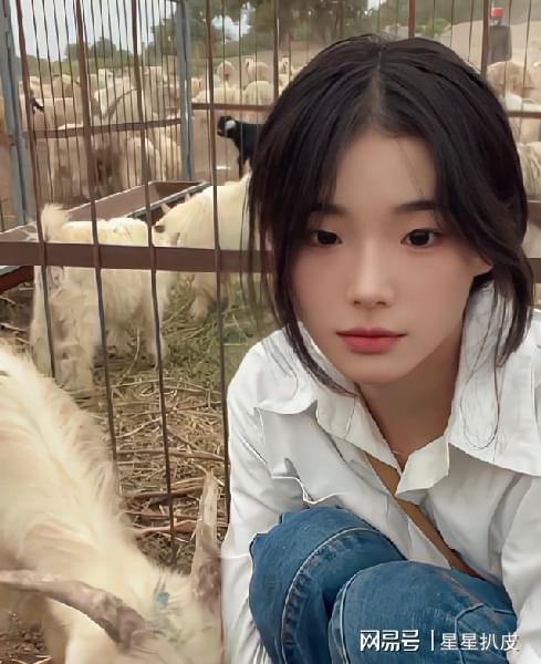 网红吃瓜五万粉丝是谁呀,五万粉丝背后的神秘人物