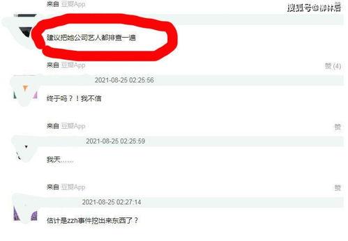 吃瓜明星专栏官网入口,官网入口带你畅游娱乐圈风云