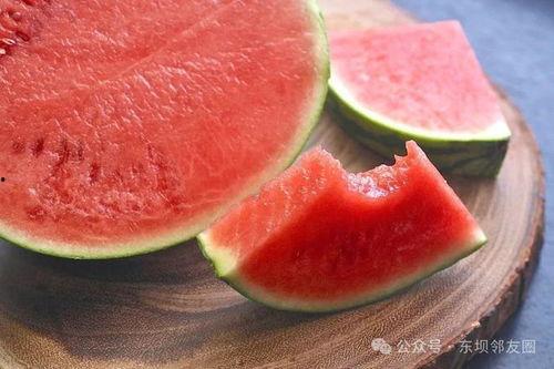 天津吃瓜小网红事件,揭秘网络舆论的风暴与真相