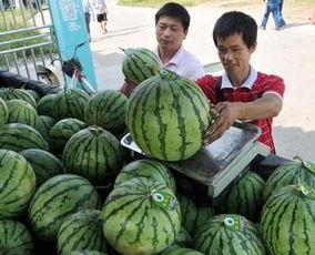 景德镇网红吃瓜群微信,揭秘网络社交圈的趣味与热议