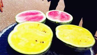 黑料吃瓜爆料网红精品一区,黑料吃瓜背后的真相与内幕