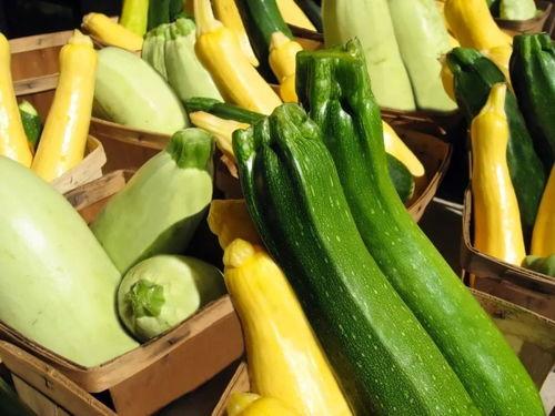 169吃瓜网,揭秘娱乐圈最新热点，带你畅游八卦海洋