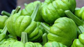 七七吃瓜网,揭秘娱乐圈最新热点，带你领略明星幕后故事