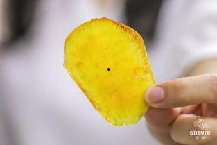 东北抖音网红吃瓜,揭秘幕后故事与趣味瞬间