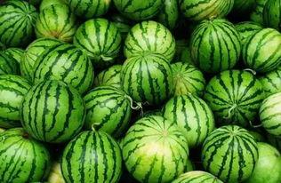 pknnn吃瓜群官网,官方揭秘背后的娱乐风云