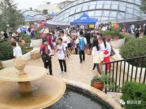 朝阳吃瓜网官网入口,带你走进热门八卦资讯的官方入口