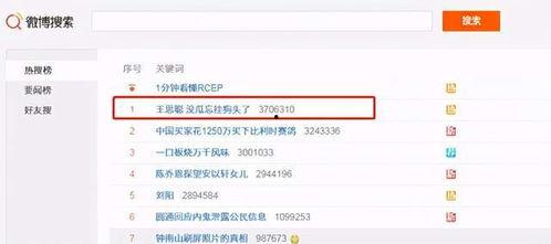 网红吃瓜网站网址大全,揭秘热门网址大全