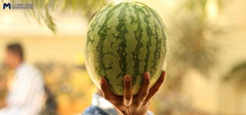 最近网爆的吃瓜事件,揭秘幕后真相与惊人内幕