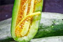 西宁网红吃瓜,一场美食与话题的盛宴 第3张 西宁网红吃瓜,一场美食与话题的盛宴 第3张