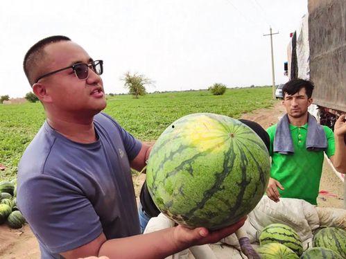 菏泽网曝吃瓜新闻  第3张