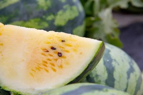 吃瓜群众网入口在哪,吃瓜群众网入口大揭秘，一探究竟！  第3张