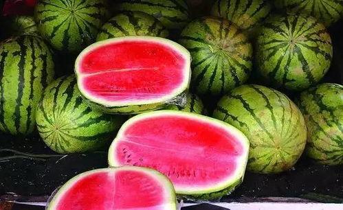 晋江网红吃瓜视频大全集,揭秘网络红人幕后故事 第2张 晋江网红吃瓜视频大全集,揭秘网络红人幕后故事 第2张