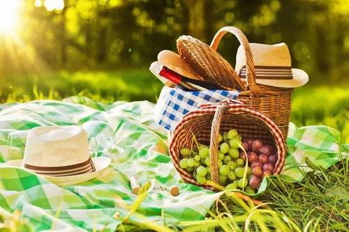 野餐兔网红吃瓜图片真实,揭秘美食与娱乐的完美融合  第2张