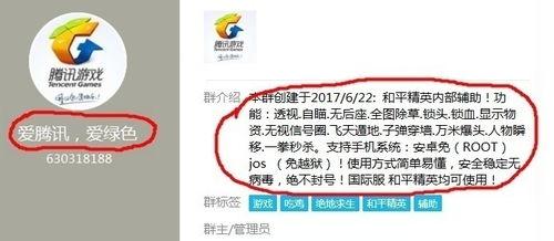 629吃瓜网验证访问,验证访问背后的真相与魅力